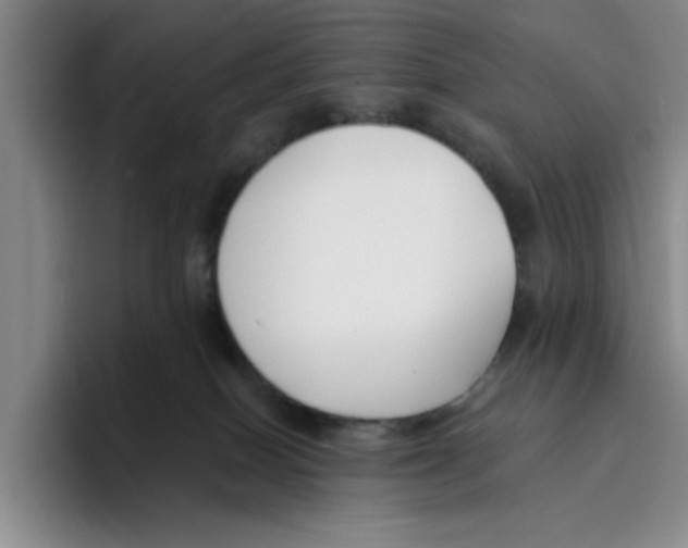 X0000096150086200802151403