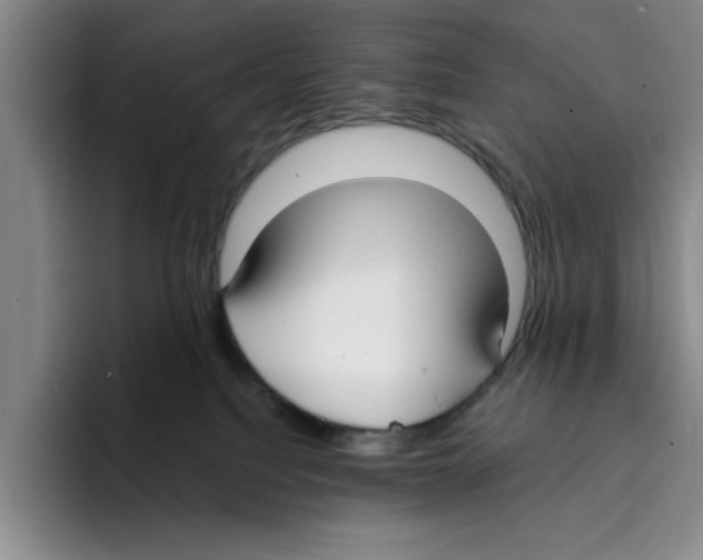 X0000096150088200802151403