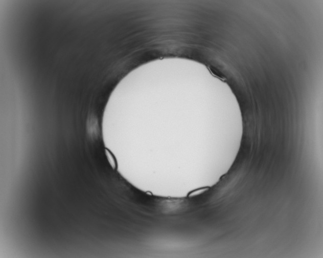 X0000096150089200802151403