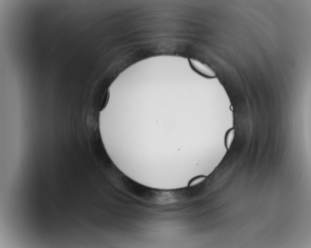 X0000096150091200802151403