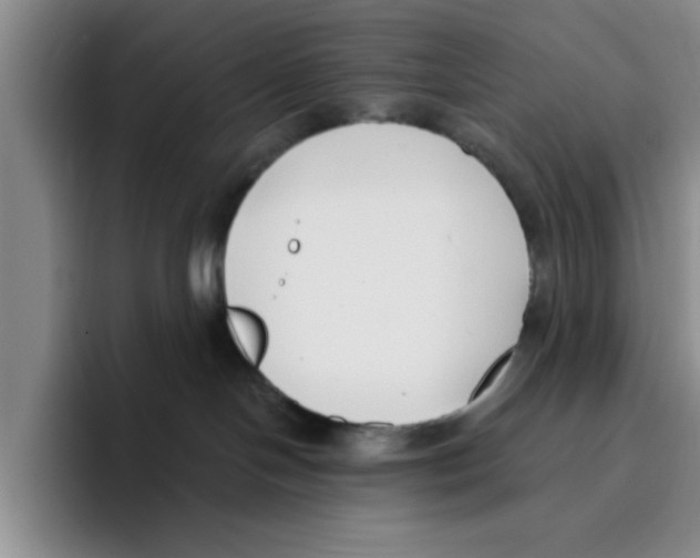 X0000096150094200802151403