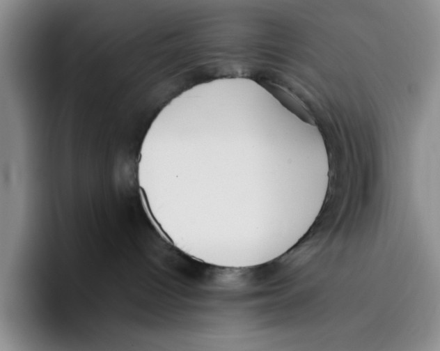 X0000096150096200802151403