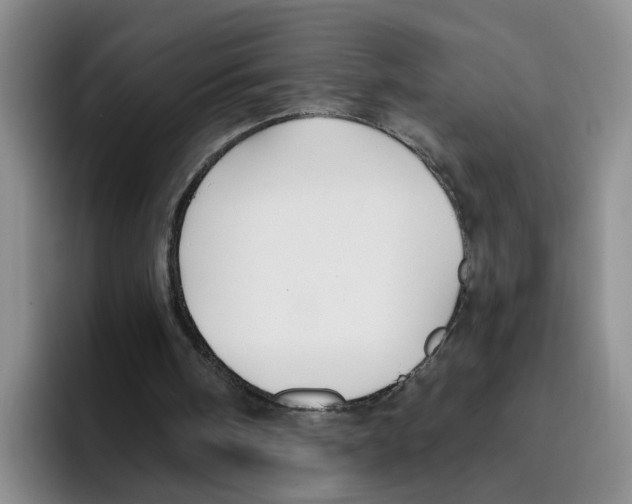 X0000096150098200802151402