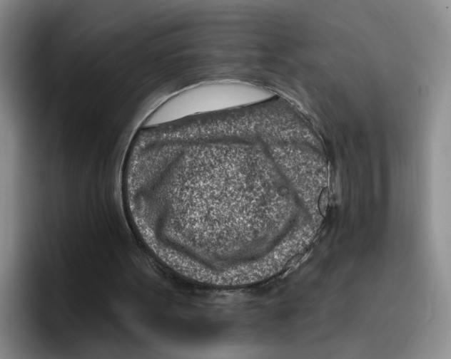 X0000096150099200802151402