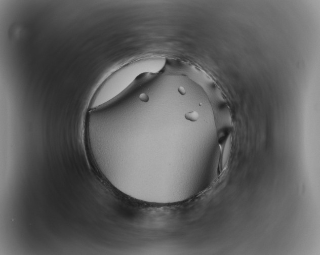 X0000096150100200802151402