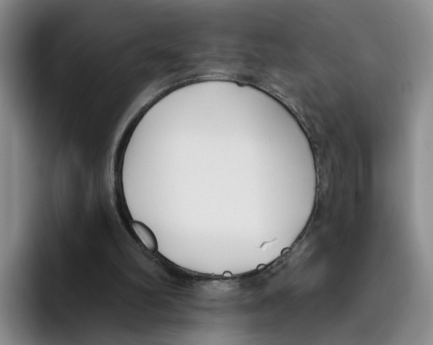 X0000096150102200802151402