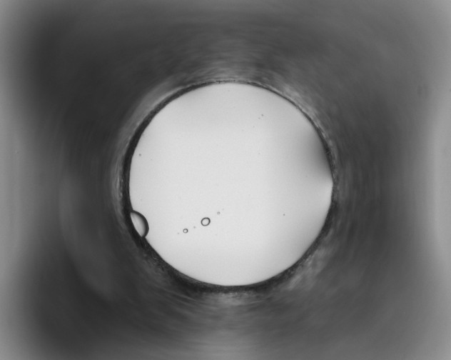 X0000096150103200802151402