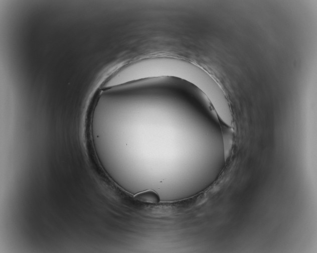 X0000096150104200802151402