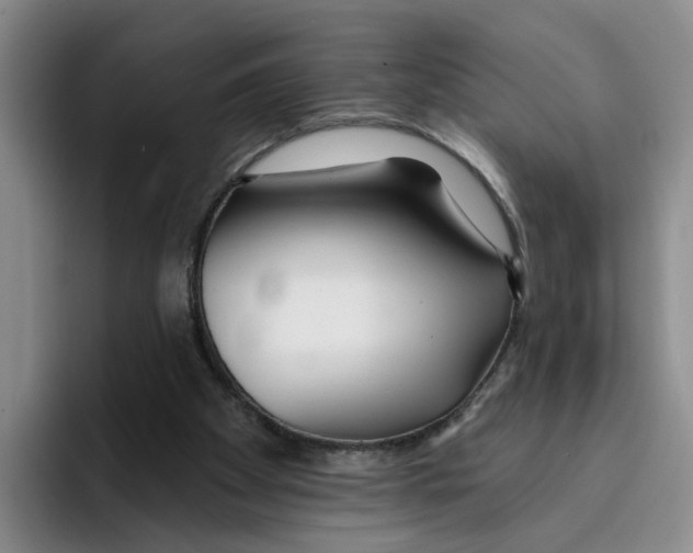 X0000096150105200802151402