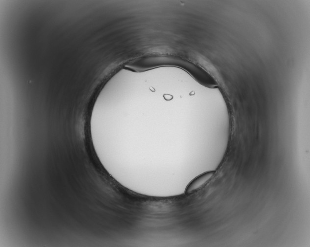 X0000096150106200802151402