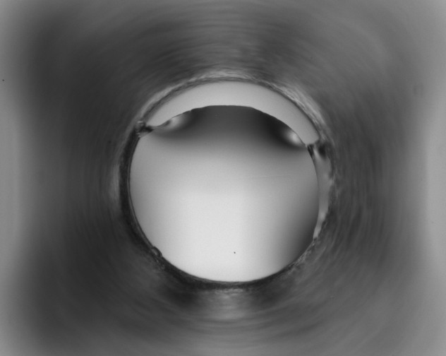 X0000096150108200802151402