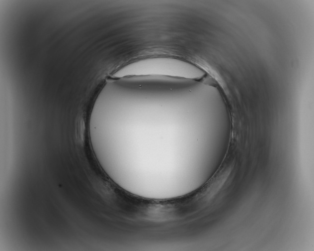 X0000096150109200802151402