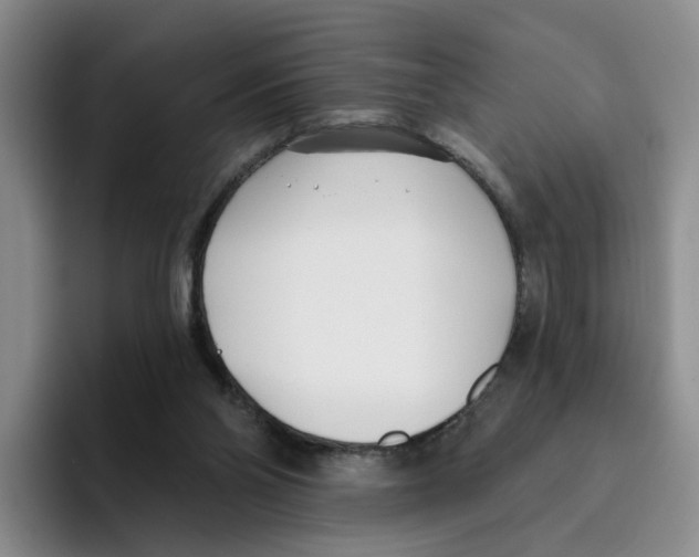 X0000096150110200802151402