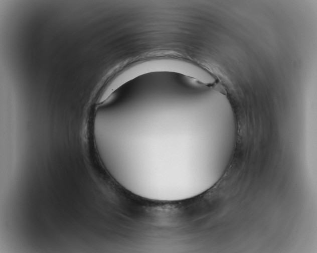 X0000096150112200802151402