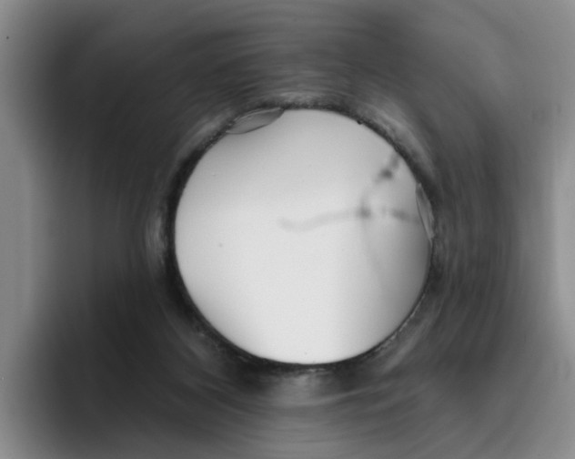 X0000096150116200802151402