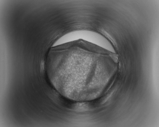 X0000096150117200802151402