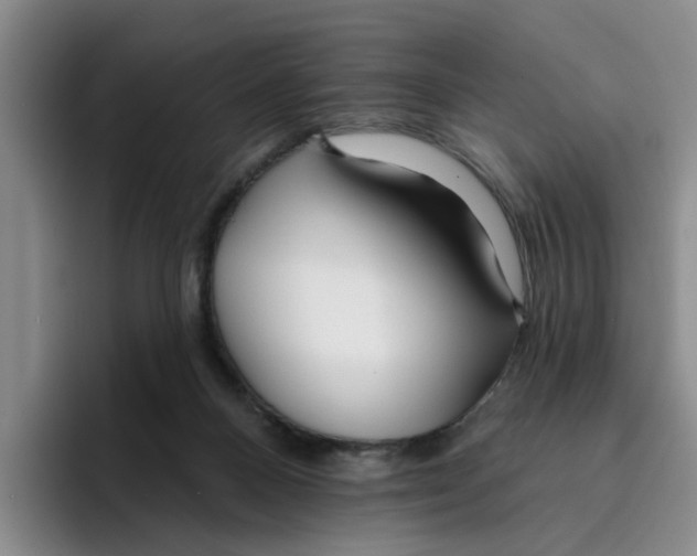 X0000096150120200802151402