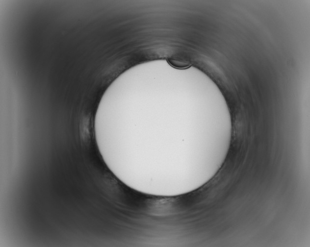 X0000096150122200802151402