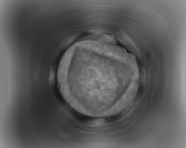 X0000096150124200802151402