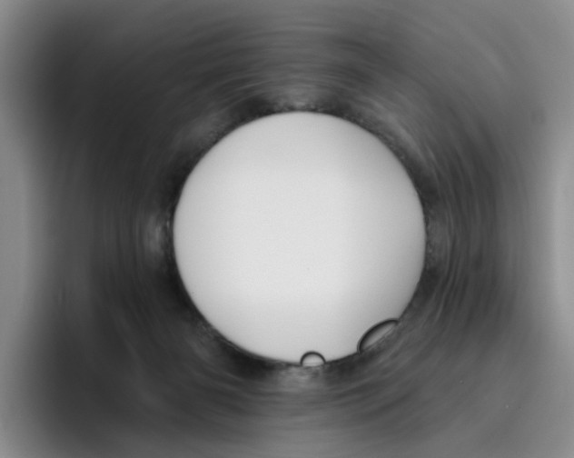 X0000096150126200802151402