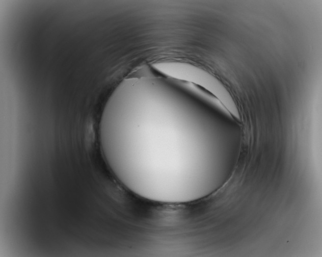 X0000096150128200802151402