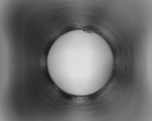 X0000096150129200802151402