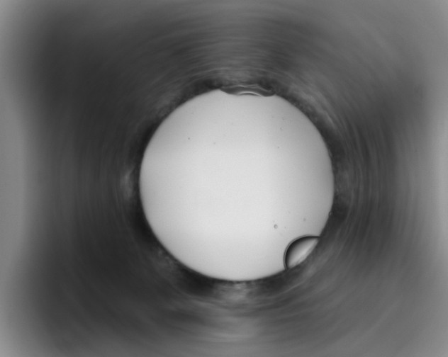 X0000096150131200802151402