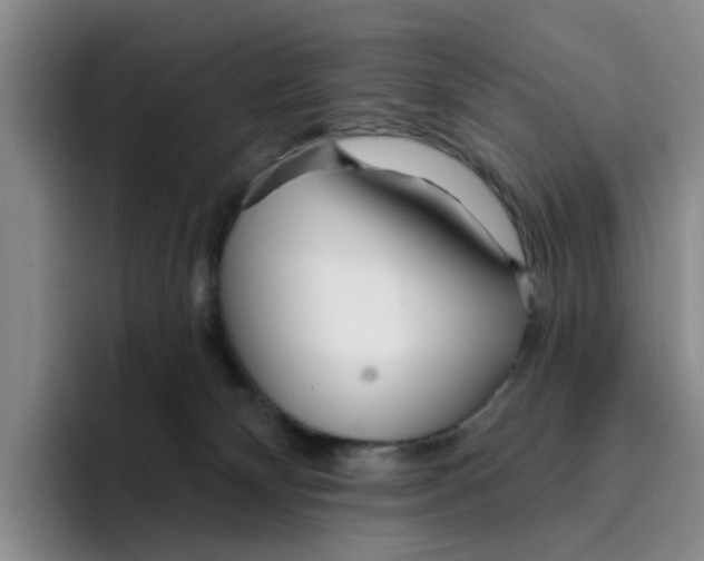 X0000096150132200802151402