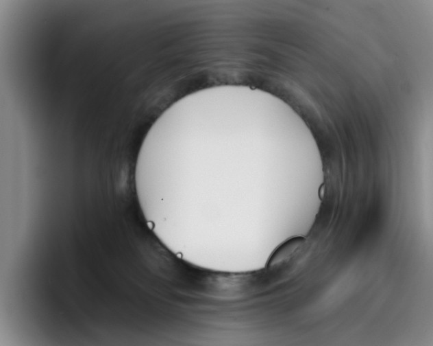 X0000096150134200802151402