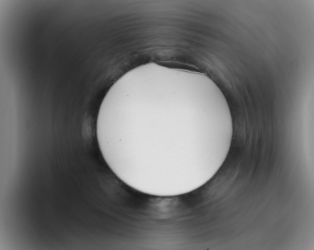 X0000096150135200802151402