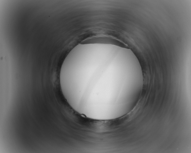 X0000096150136200802151402