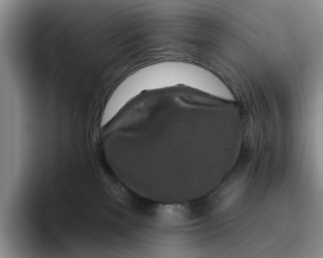 X0000096150137200802151402