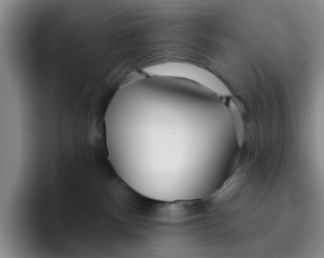 X0000096150140200802151402