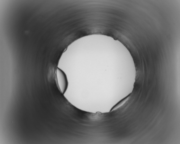 X0000096150142200802151402