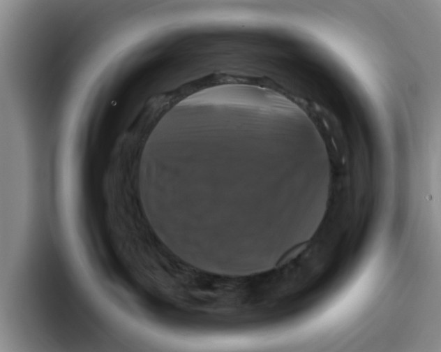 X0000096150143200802151402