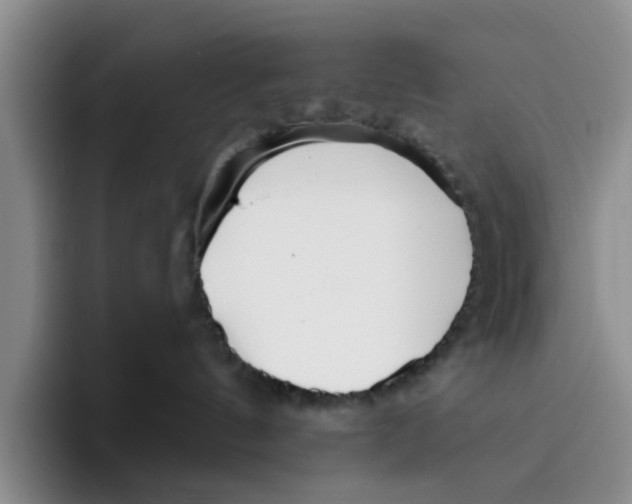 X0000096150144200802151402