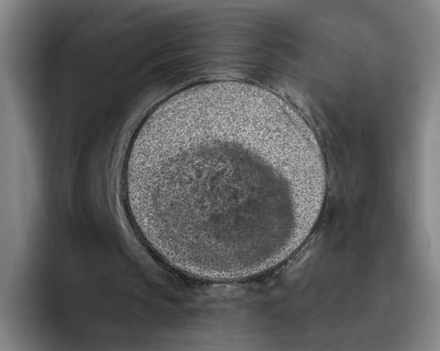 X0000096150145200802151401