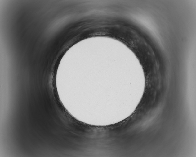 X0000096150146200802151401