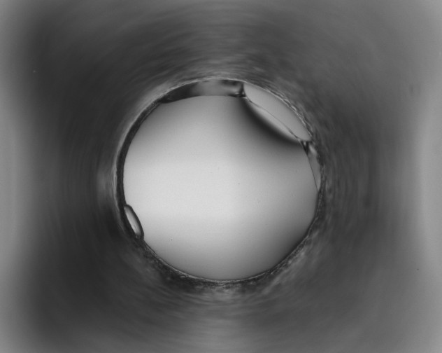 X0000096150148200802151401