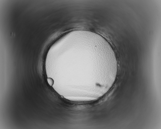 X0000096150149200802151401