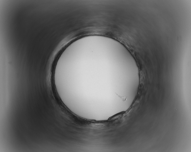 X0000096150150200802151401