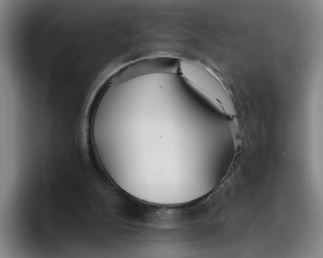 X0000096150152200802151401