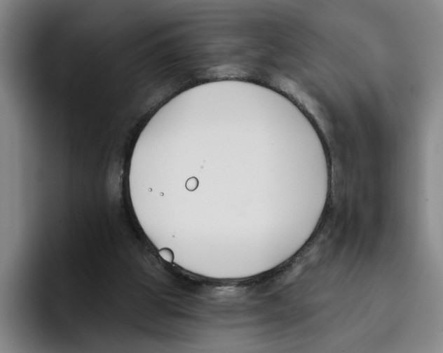 X0000096150153200802151401