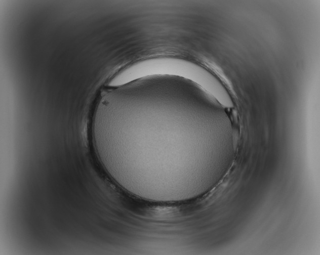 X0000096150154200802151401