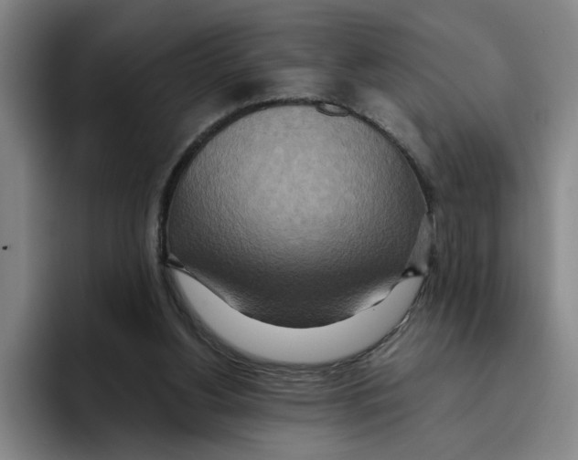 X0000096150156200802151401