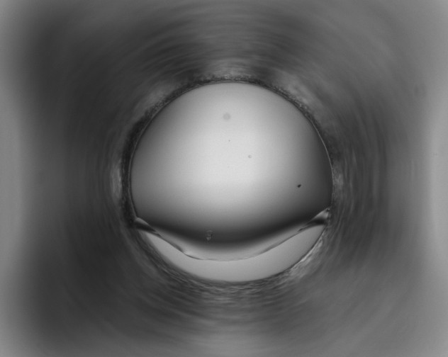 X0000096150158200802151401