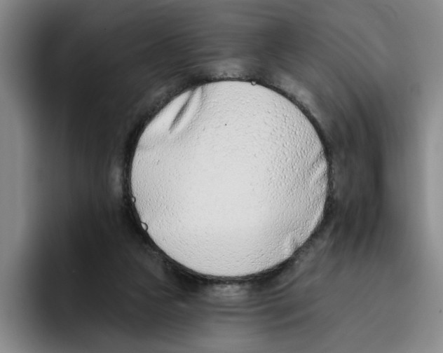 X0000096150161200802151401