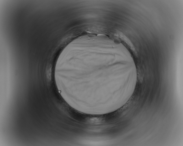 X0000096150163200802151401