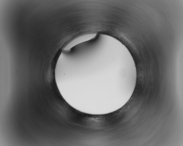 X0000096150164200802151401