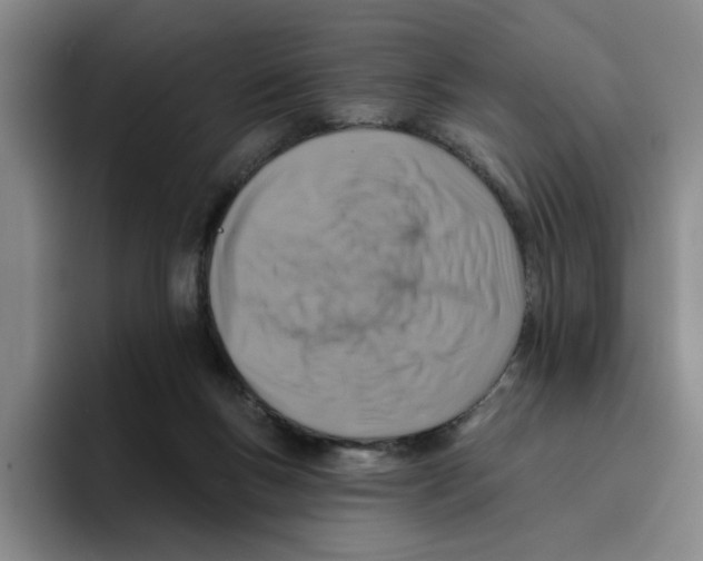 X0000096150167200802151401